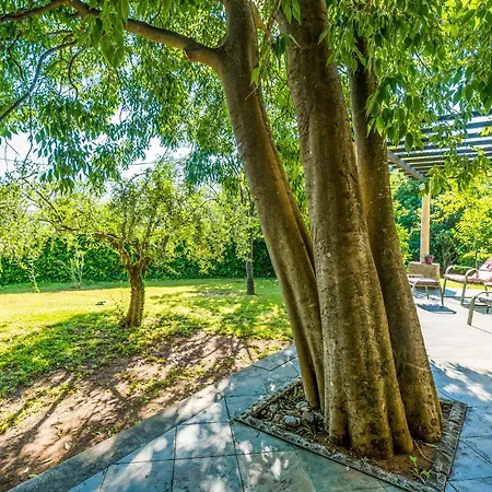 Hébergement de vacances Gorgeous In With Kitchen Dubrovnik